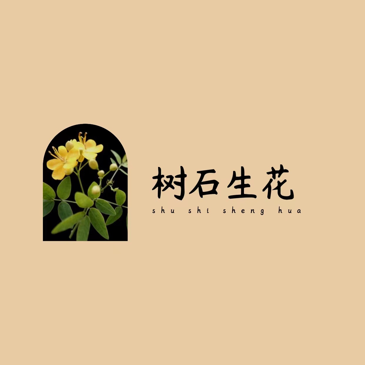 無錫樹石生花網絡科技有限公司